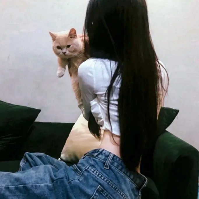 怒战狂心